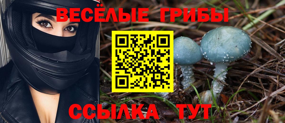 Псилоцибиновые грибы Psilocybine cubensis  Вход с VPN  Сокол  Галлюциногенные грибы MAGIC MUSHROOMS 